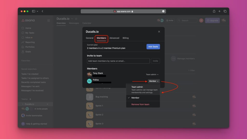 Asana Admin Mitgliedereinstellungen mit Optionen für Zugriffsebenen