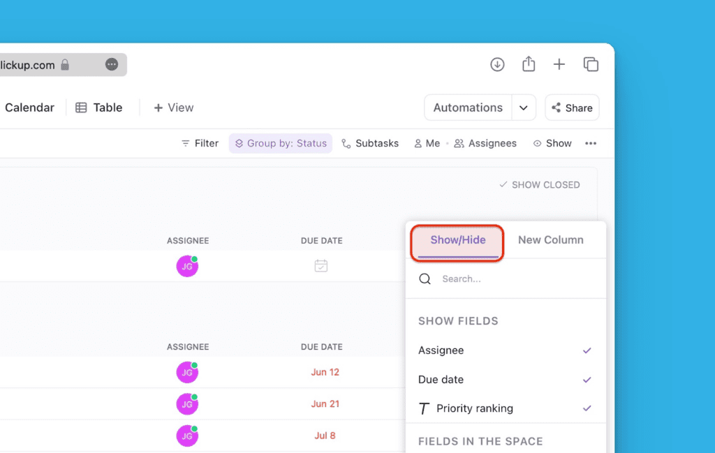 Option Show/Hide über Add column