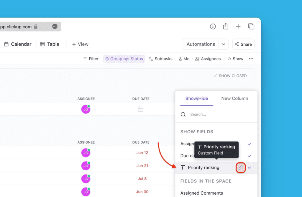 カスタムフィールドの横にある編集アイコン