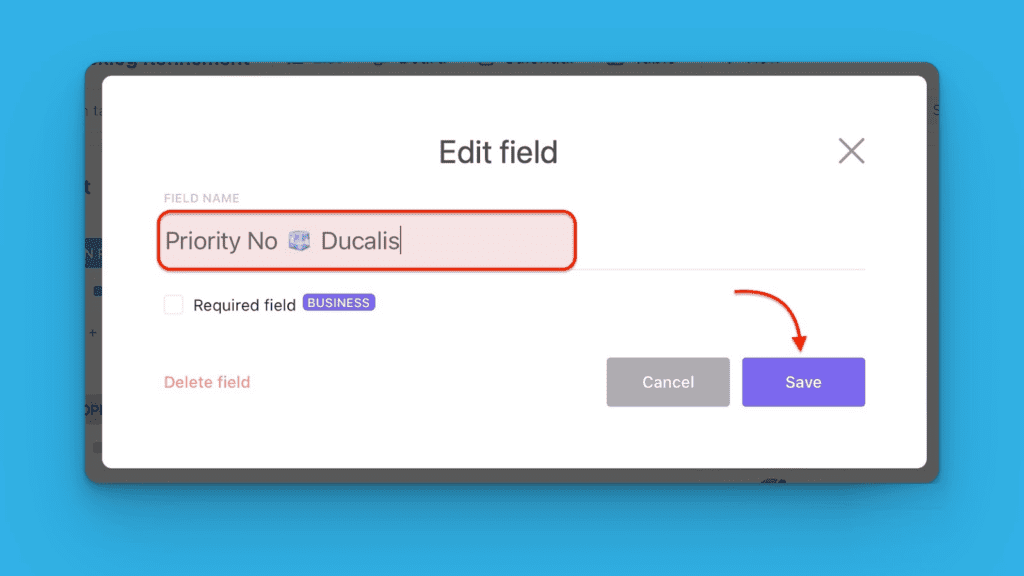 Umbenanntes Feld mit Schaltfläche Save