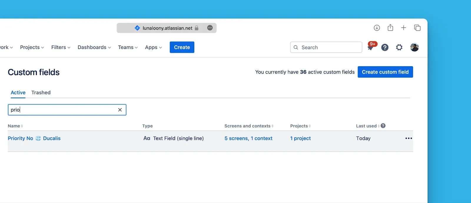 新しい名前が表示された更新後のカスタムフィールド