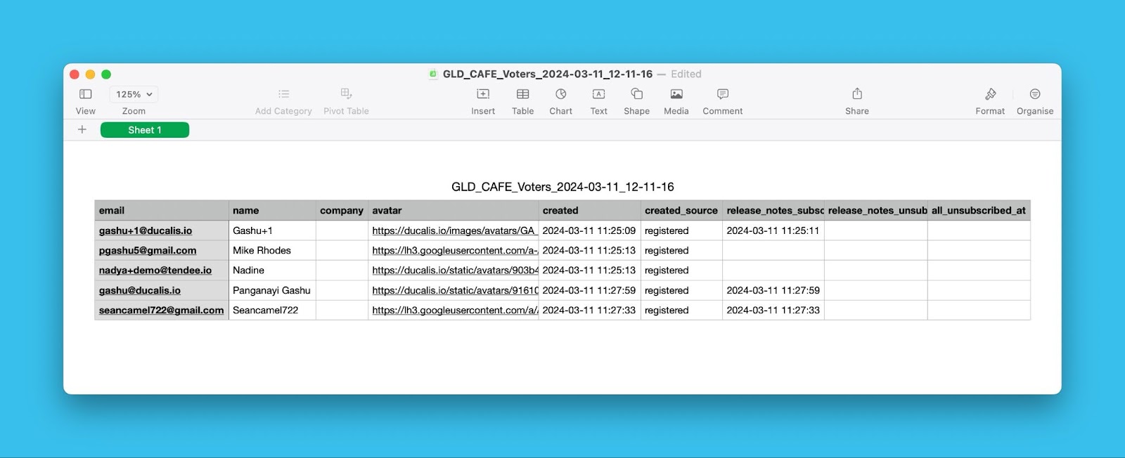 Beispiel-CSV-Datei mit Abstimmendendaten