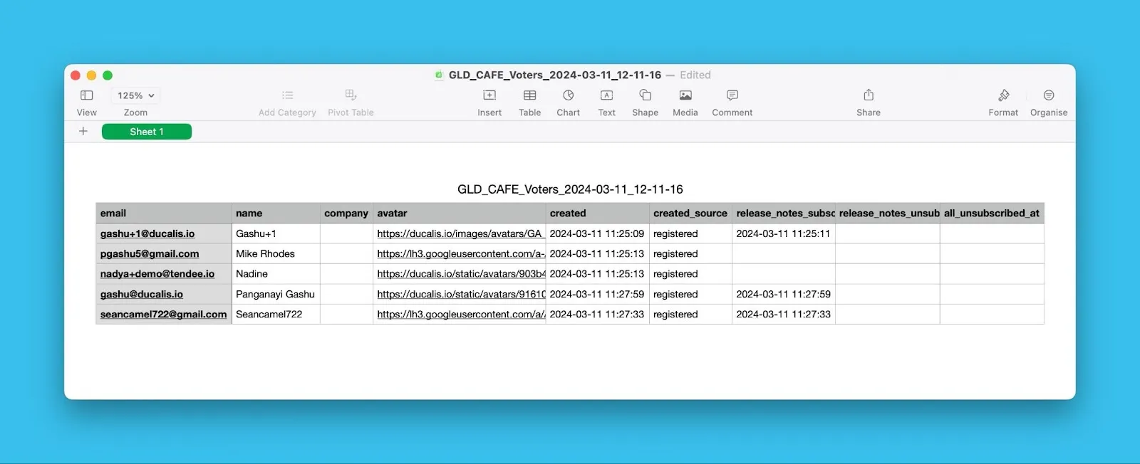 投票者データを含む CSV ファイルの例