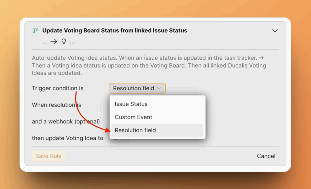 Option für Resolution-Feld