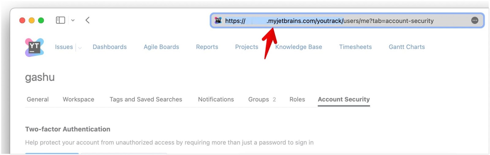YouTrack-Basis-URL im Browser