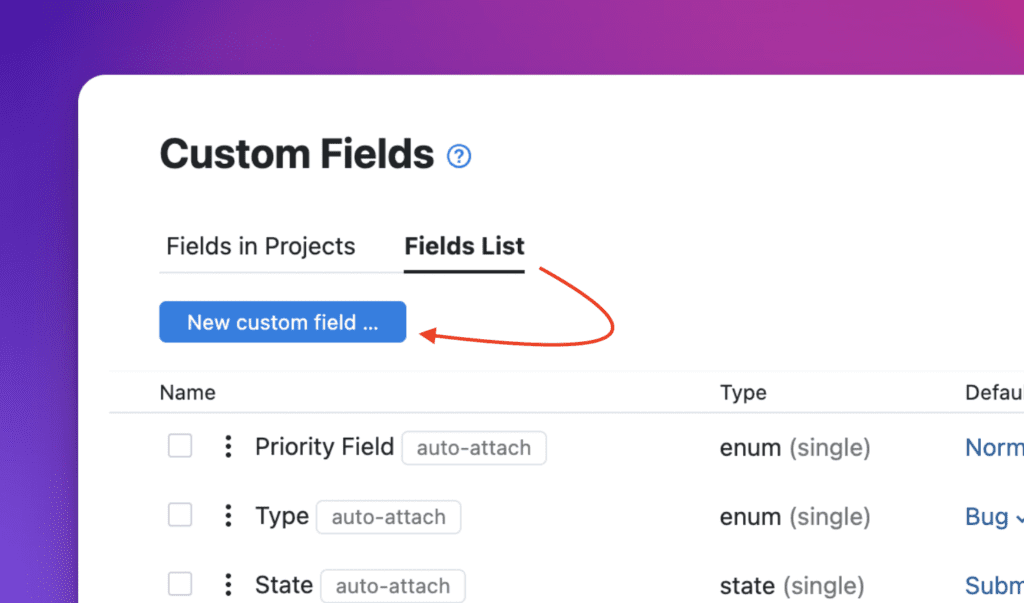Neues-Custom-Field-Button